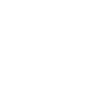 pioniri